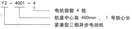 西安泰富西瑪Y2系列緊湊型高壓三相異步電動(dòng)機(jī)型號(hào)說(shuō)明